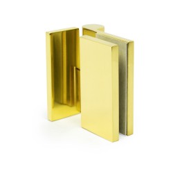 Hinge for shower cabin lifted TGHU90 PBC