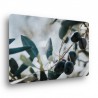 30 x 40 cm Plums