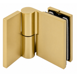 Gold lift hinge for shower...