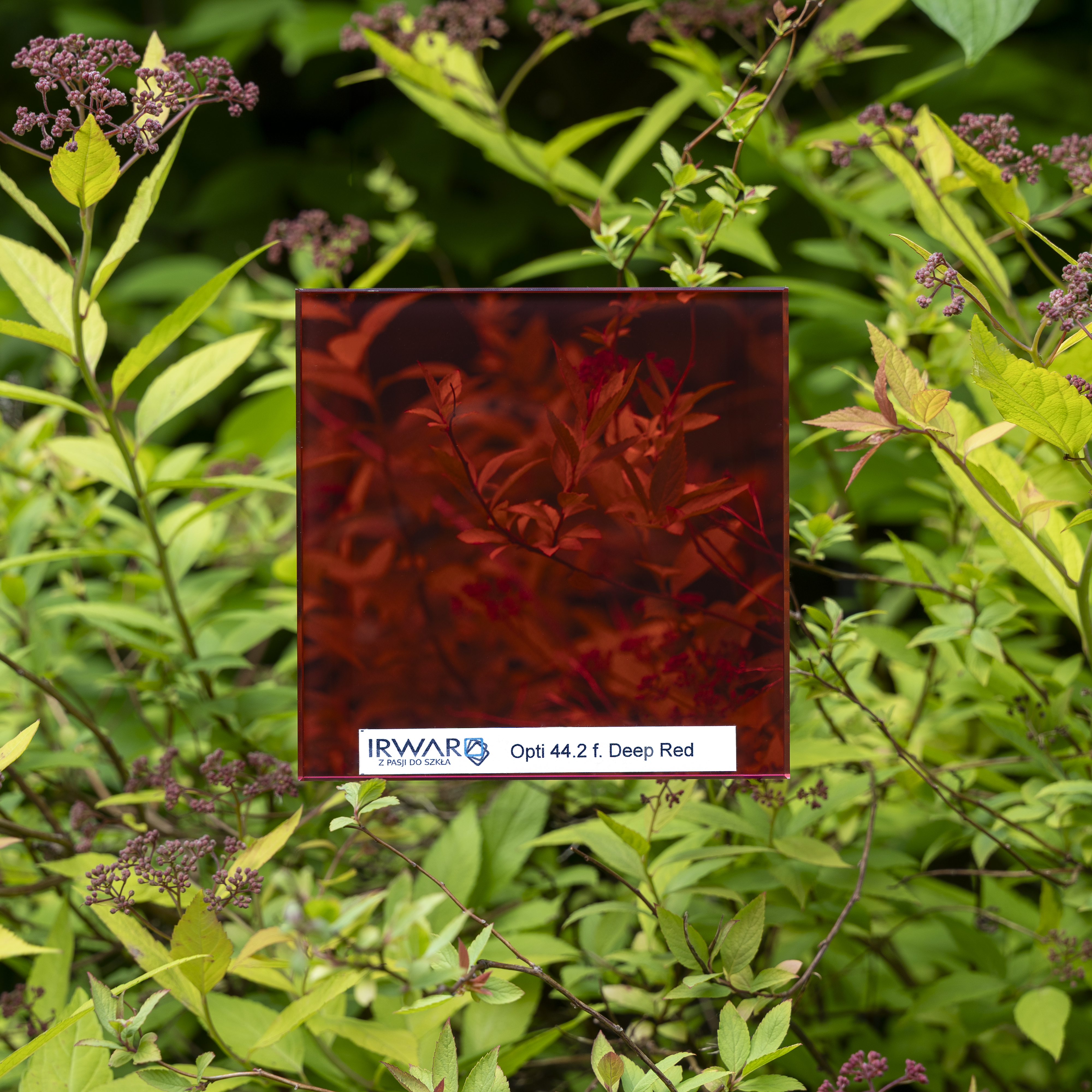 Opti 44-2 f Deep Red.jpg