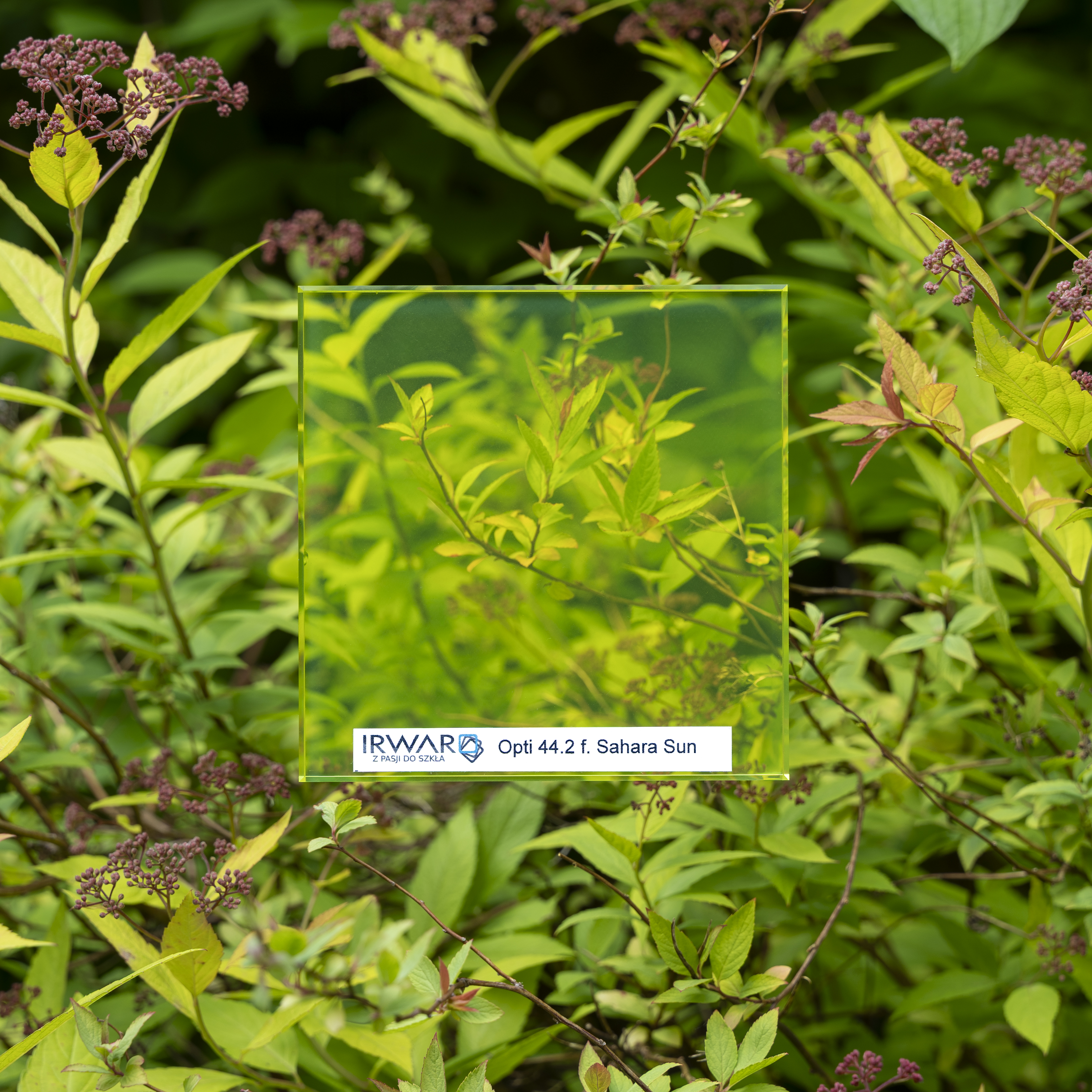 Opti 44-2 f Sahara Sun.jpg