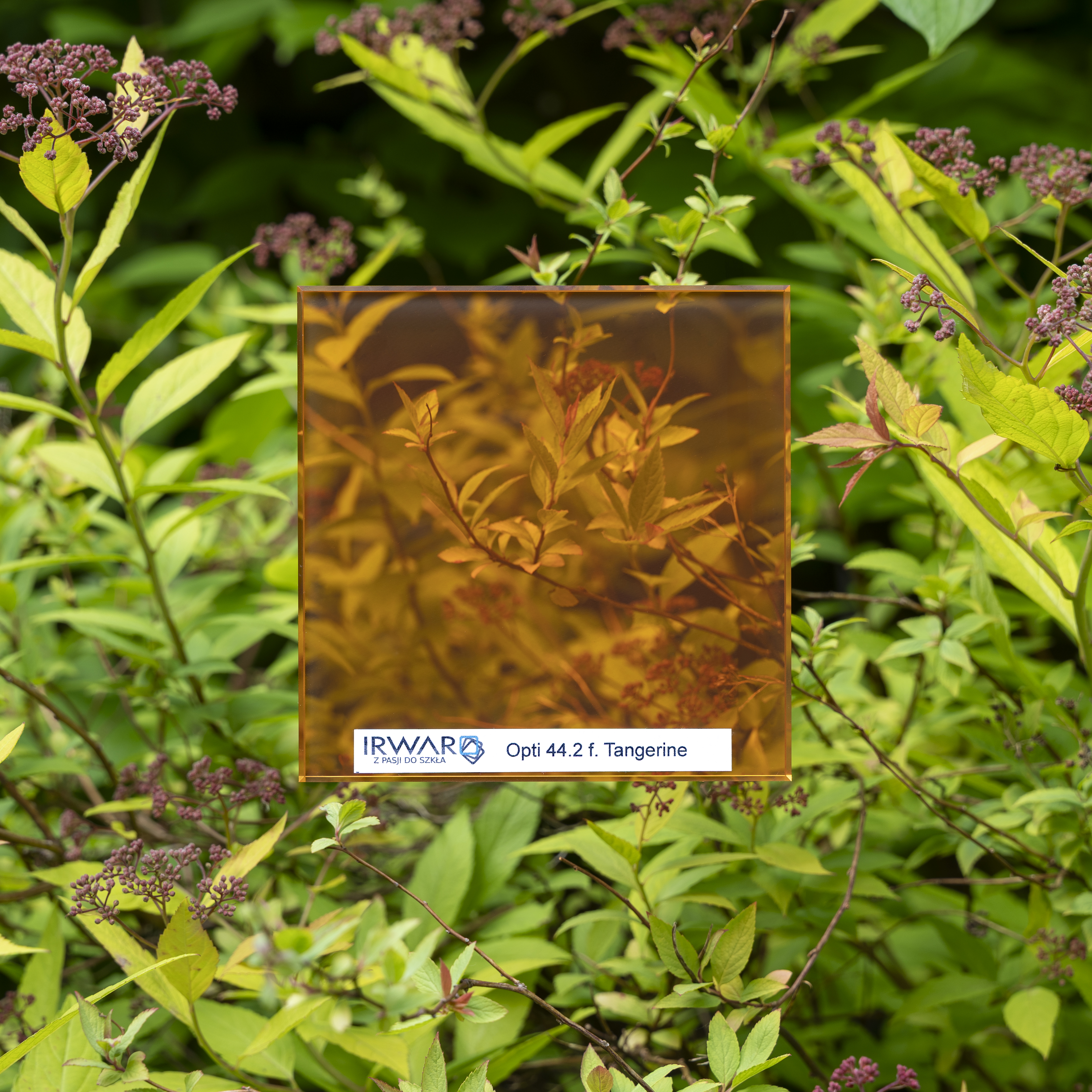 Opti 44-2 f Tangerine.jpg