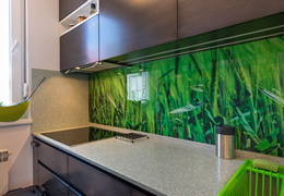 Glass Panels with Graphics & Printed Glass – Personalizing Business and Home Spaces