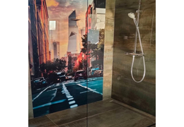 How to Choose the Perfect Glass Panel for Your Bathroom?